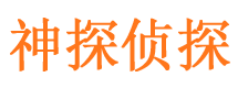 大名市调查公司